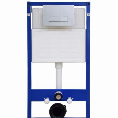 Water saving dual flush toilet concealed cistern 009D1