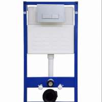 Water saving dual flush toilet concealed cistern 009D1