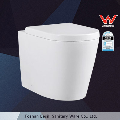 Watermark ceramic wall hung toilet pan washdown one piece bathroom floor mounted toilet with concealed cistem BM6011